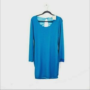 NWT Long Sleeved teal dress